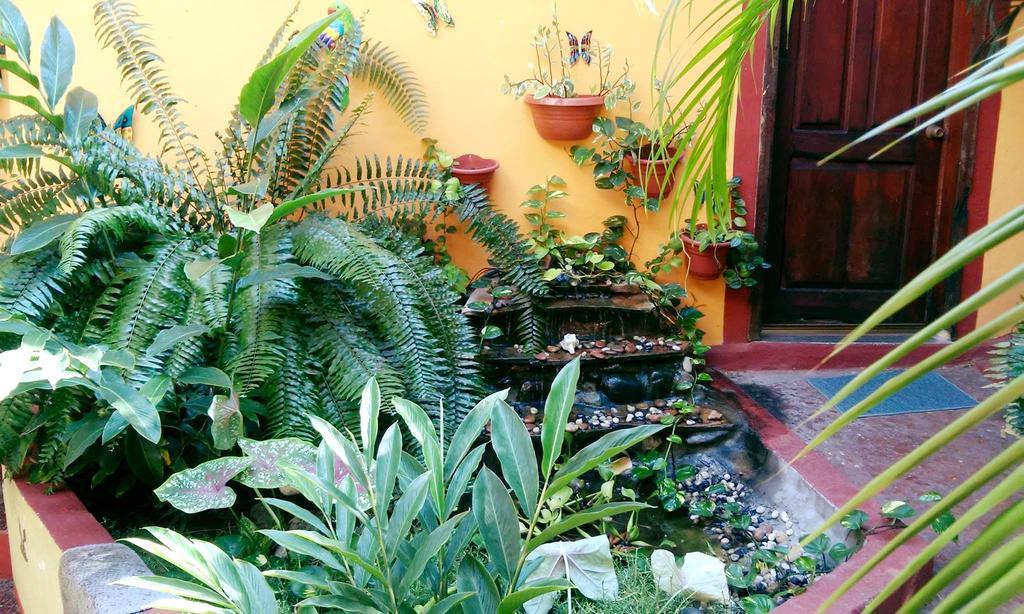 Hotel La Cabana Puerto Ángel Eksteriør bilde