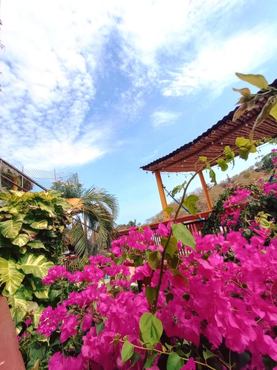 Hotel La Cabana Puerto Ángel Eksteriør bilde